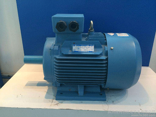 高效節(jié)能電機(jī)是西安泰富西瑪未來(lái)商業(yè)發(fā)展的方向。