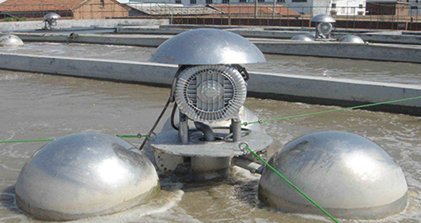 如何根據(jù)西瑪電機(jī)的外表來(lái)檢查防護(hù)等級(jí)的一致性？